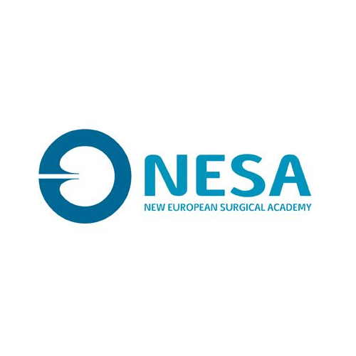 logo supporter nesa